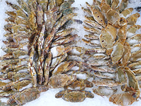 Blurred image of fresh crabs on ice as a background in the market for sale at Thailand, fresh meat...