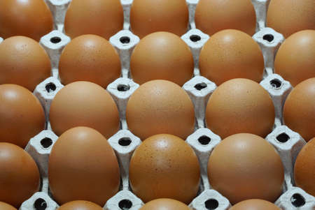Selective focus of eggs in paper tray package as a background, use for cooking