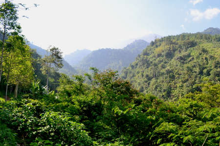 scenery of a hill in the mountain