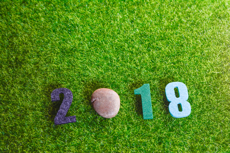 2018 number putting on grass in new year and 2018 year concept.の写真素材