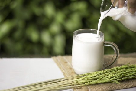 Hand pouring milk from glass jug into glass which lay on sack cloth and ear of rice aside with green background.の写真素材