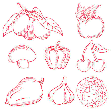 Freehand vector sketches isolated over white backgroundのイラスト素材