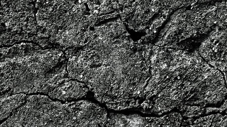 Black and white texture of dry cracked earth. Abstract background and texture for design.