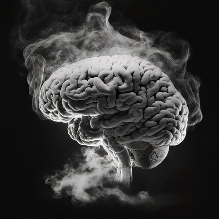 Human brain with smoke on a black background. 3d illustration.の写真素材