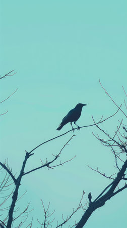 Amazing crow background for wallpaperの素材