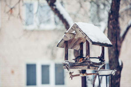 birdhouse from wood in the winter snow covered forest on natural background on pine treeの写真素材