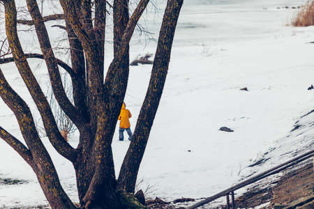 trees in snow little child in orange coat behind treeの写真素材
