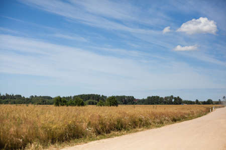 road in the countryside in summer