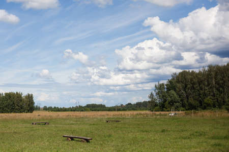 landscape with blue sky and white clouds, tree in the field in Latviaの写真素材