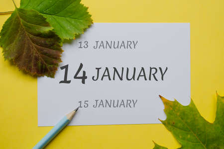 14 january day of month on a white sheet and dates of the day earlier and later, written in simple pencil. Decoration with green leaves and yellow background.の写真素材