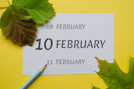 10 february day of month on a white sheet and dates of the day earlier and later, written in simple pencil. Decoration with green leaves and yellow background.の写真素材