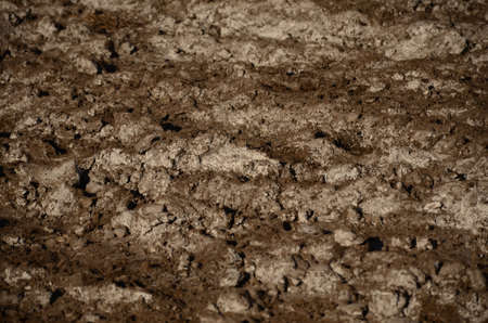 Brown soil with white salt coming to surface. agriculture conceptの写真素材