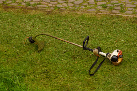 A working trimmer lies on a green lawn in a garden.