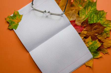 An open notebook and glasses on orange background among the autumn maple leaves. Flat lay, business conceptの写真素材