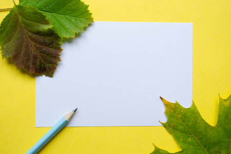 A blank sheet with pencil on a yellow background and among autumn maple leaves with copy space.
