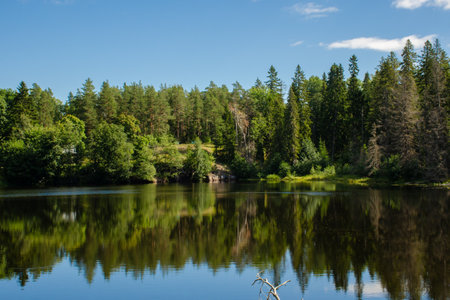 Green forest and blue sky are reflected in calm water of the lake. beautiful horizontal photo of summer backgroundの写真素材