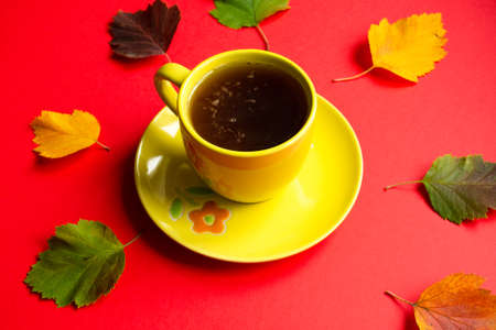 Yellow cup of tea with saucer on a red background among autumn leaves close-upの写真素材