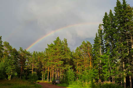 Forest landscape with a rainbow on a dark stormy sky on a summer day. horizontal photo. The concept of peace and tranquilityの写真素材