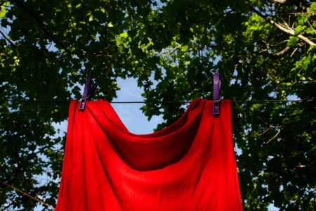 Purple clothespins hold the washed red T-shirt on rope among green trees. Homework and hygiene conceptの写真素材
