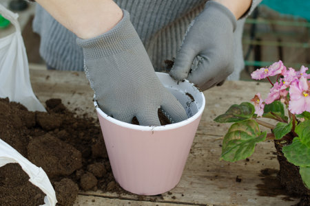 A woman in work gloves pours earth into pink flower pot to replant an indoor flowerの写真素材