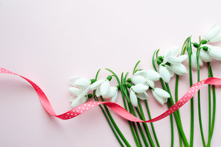 White snowdrops with a pink ribbon on background. Spring card with copy spaceの写真素材