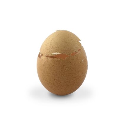 Egg