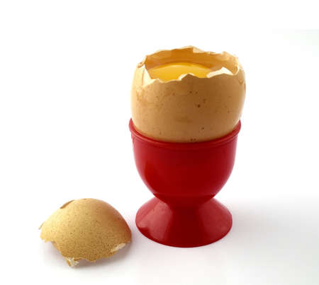 egg
