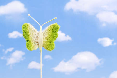 Green toy Butterfly toy on stickの写真素材