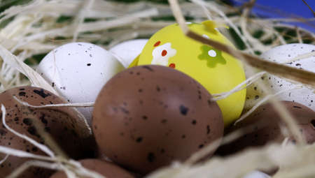 Colorful easter egg - hand painted