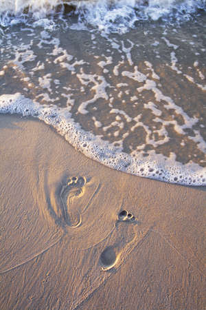 Footprints in the sand. Sea and beach at sunsetの写真素材