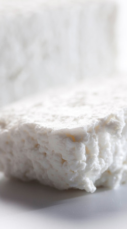 Healthy, delicious curd made from cowの写真素材