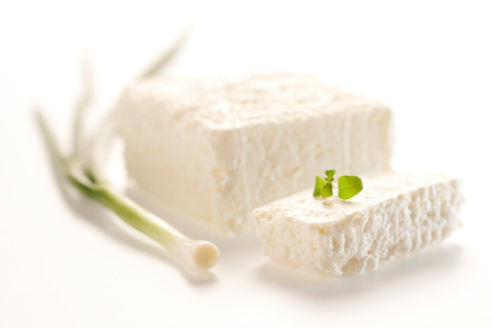 Healthy, delicious curd made from cowの写真素材
