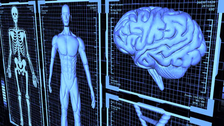8K 3D Rendered HUD Muscular anatomical man Body, Brain, and DNA including Skeleton in body analysis...