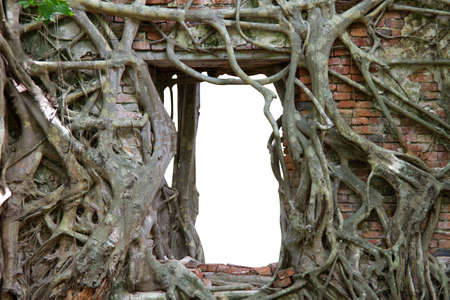 Used masks are stored in plastic water bottles to be disposed of in the trash to prevent the spread of COVID-19 isolated on white background.の写真素材