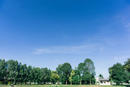 Blue sky with white cloudsBlue sky on clear days background or texture.の写真素材