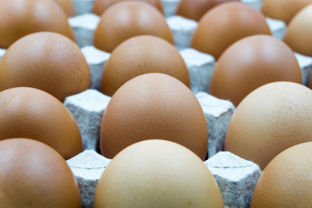 Chicken eggs on white background.の写真素材