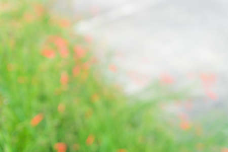Blurred green nature with bokeh background.の写真素材