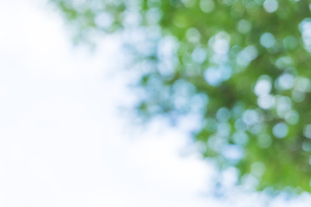 Blurred green nature with bokeh background.