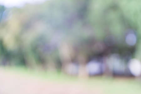 Blurred green nature with bokeh background.の写真素材
