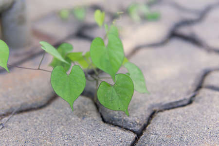 color pen on white backgroundの写真素材