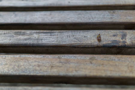 Abstract wood texture background,  free space of wooden background.の写真素材