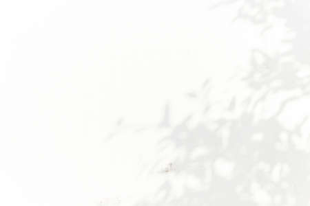 Wall light with shadows, shadow on white wall background texture.の写真素材