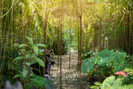 The fresh green, green leaves background in sunny day, forest trees nature green leaves.