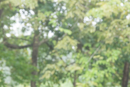 Blurred green nature with bokeh background.