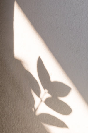 Shadow of leaves on a beige background, Wall light with shadows, shadow on beige wall background...