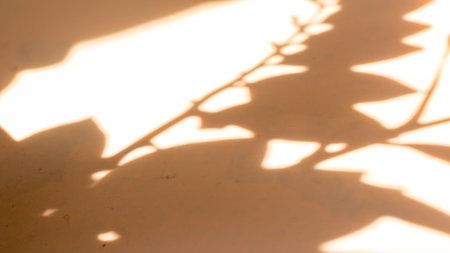 Shadow of leaves on a beige background, Wall light with shadows, shadow on beige wall background...