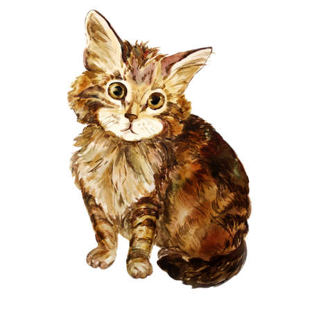 Watercolor portrait of tricolor longhair cat isolated on white background. Hand drawn sweet home pet. Bright colors, realistic look. Emerald eyes. Greeting card design. Clip art. Add any textの写真素材