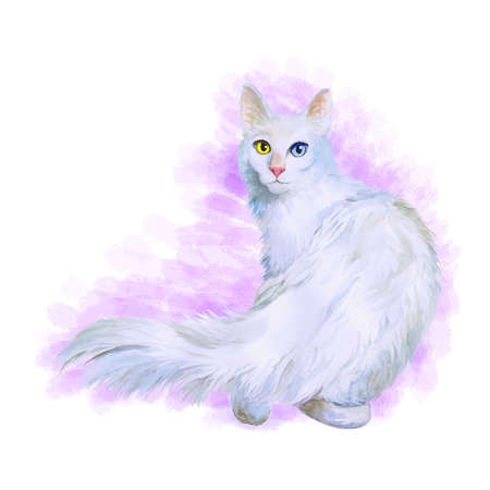 Watercolor portrait of Turkish Angora cat with odd eyes isolated on pink background. Hand drawn sweet home pet. Bright colors, realistic look. Emerald eyes. Greeting card design. Clip art. Add textの写真素材