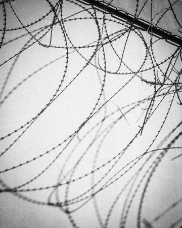 A barbed wire fence of a prison in bright sunlight casts shadow on a wallの写真素材