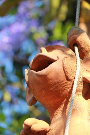 Smile Monkeyの写真素材